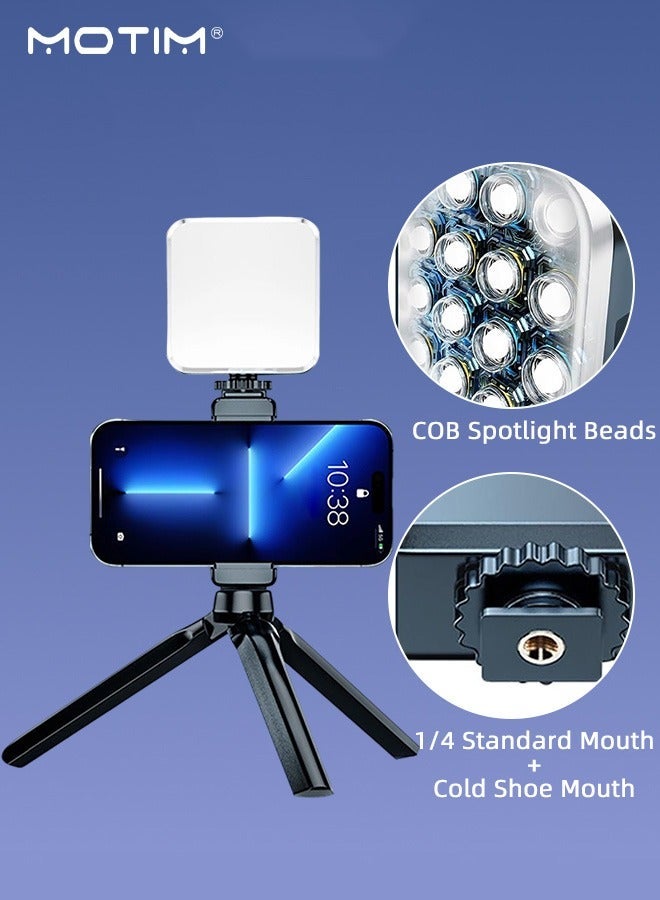 Photography Fill Light with Tripod, Mini Phone Light for Phone/Camera/Computer, 3000K-6000K Dimmable LED, Multi-Functional Pocket Video Light Portable Tripod with Clips, Fill Light for Phones Laptops Makeup TikTok Stream